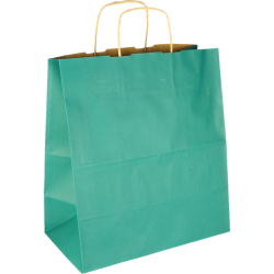 PS306G071 Papiertasche mit Papierkordel EKO PLUS grün