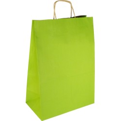 PS307G081 Papiertasche mit Papierkordel EKO PLUS hellgrün