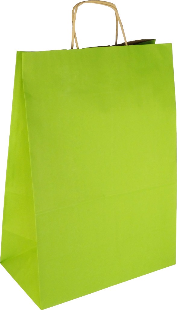 PS307G081 Papiertasche mit Papierkordel EKO PLUS hellgrün