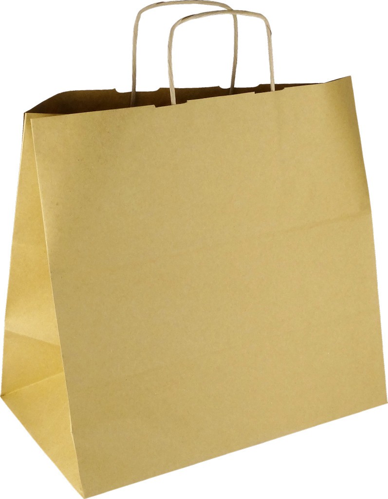 PS111G001 Papiertasche mit Papierkordel EKO PLUS braun glatt - Konditortasche