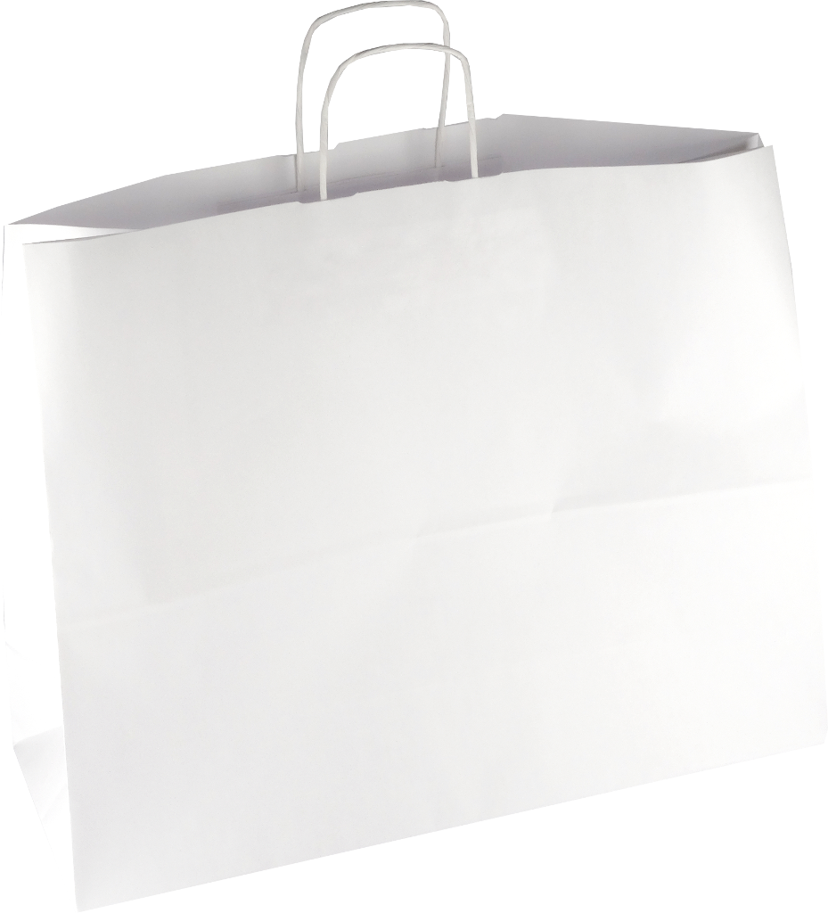 PS218G002 Papiertasche mit Papierkordel EKO PLUS weiß glatt