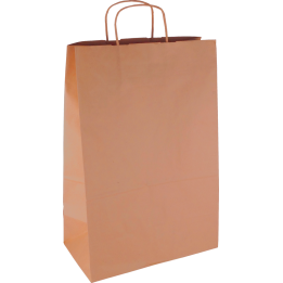PS107G001 Papiertasche mit Papierkordel EKO PLUS braun glatt