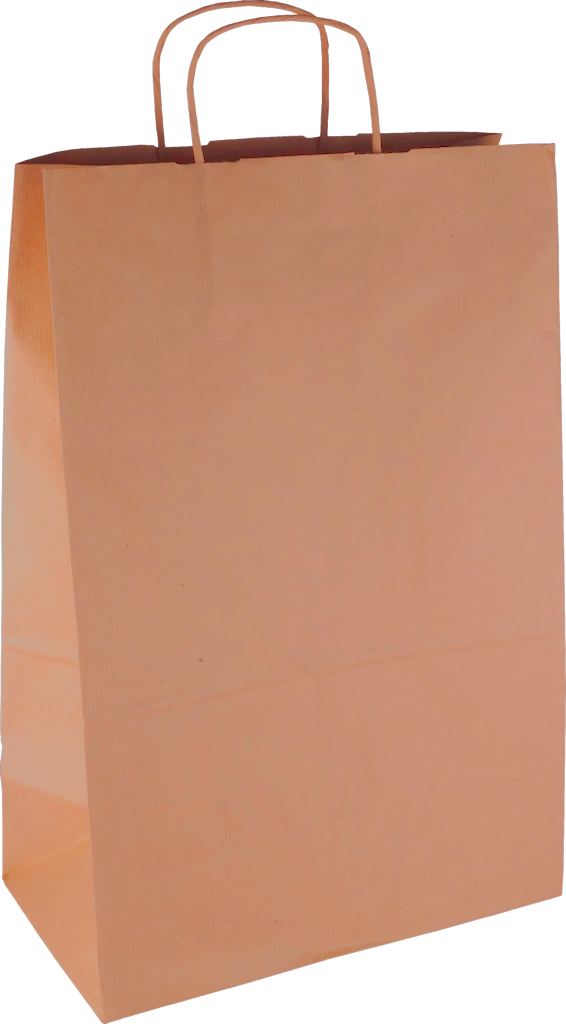 PS107G001 Papiertasche mit Papierkordel EKO PLUS braun glatt