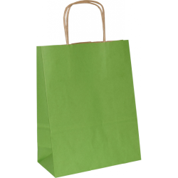PS301G081 - Papiertasche mit Papierkordel EKO PLUS, braun glatt, vollflächig bedruckt - HELLGRÜN