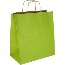 PS306G081 Papiertasche mit Papierkordel EKO PLUS hellgrün